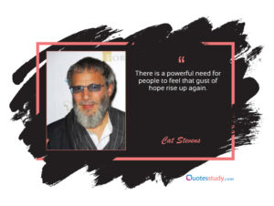 Cat Stevens Quotes